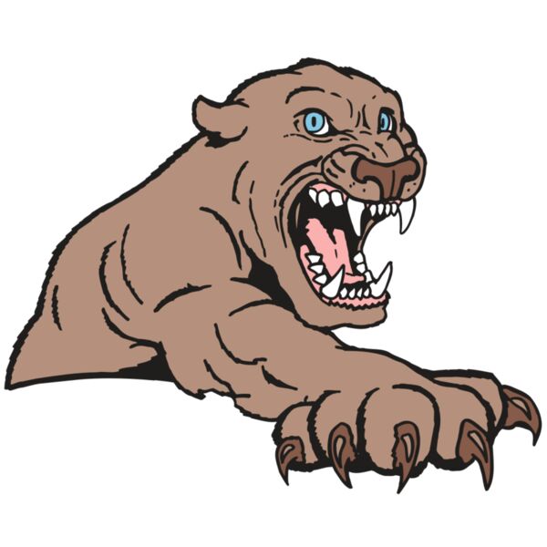 AR5 COUGAR 20 RQC Thumbnail